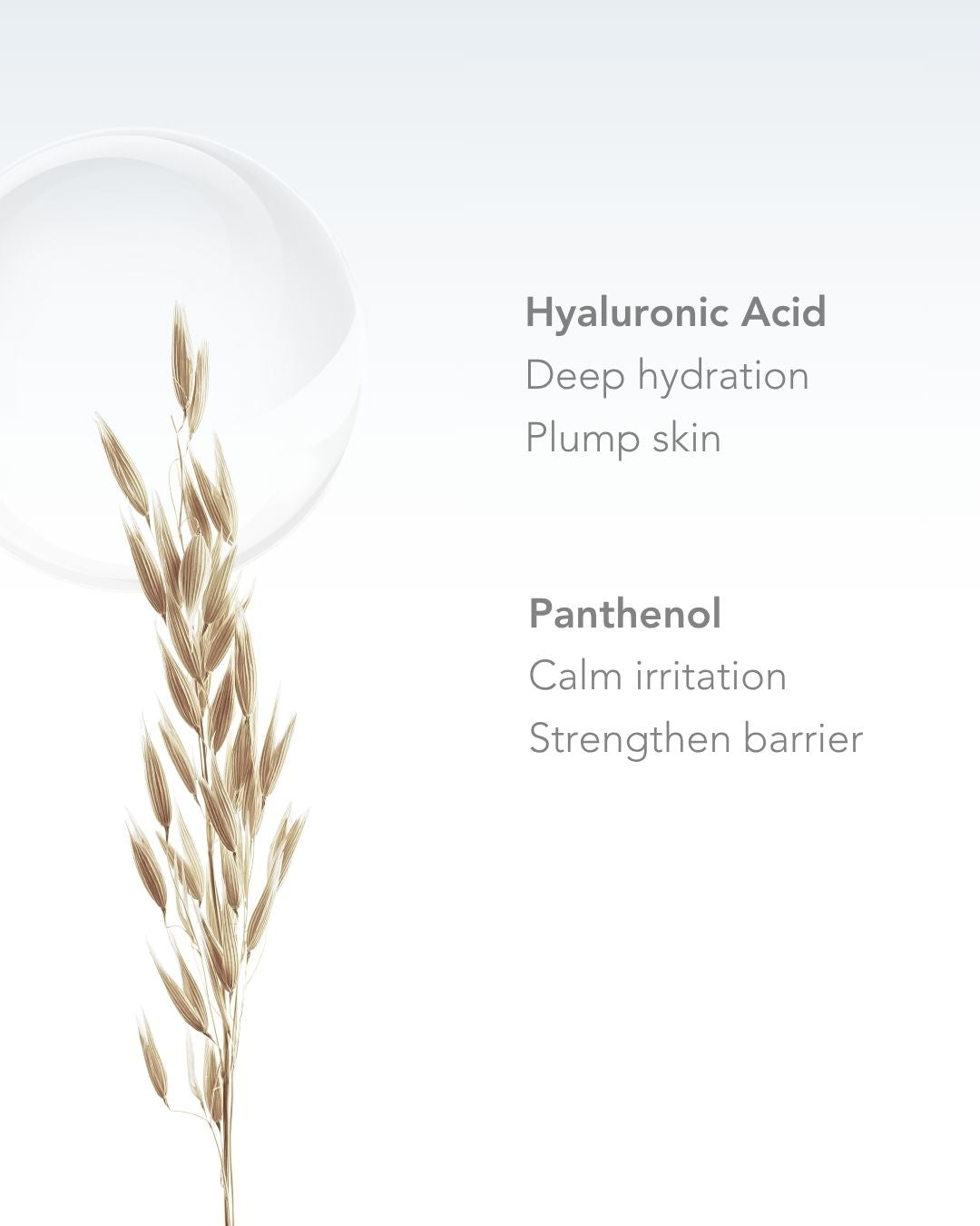 Pro Repair Daily Hydrating Serum 30 ml